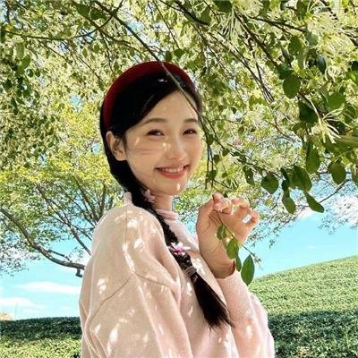 疯狂的摄像机